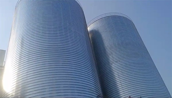 台山2座混凝土高架卷板仓